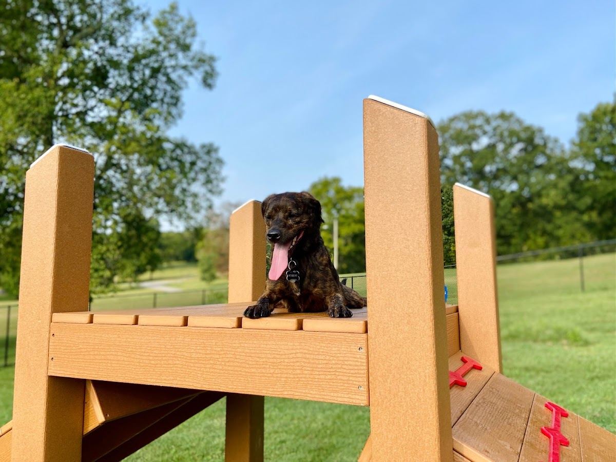 Muletown Bark Park