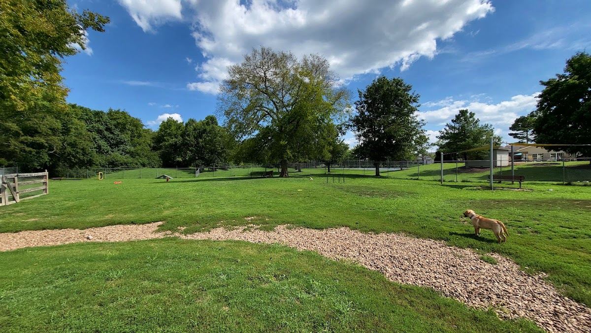 Spring Hill Bark Park