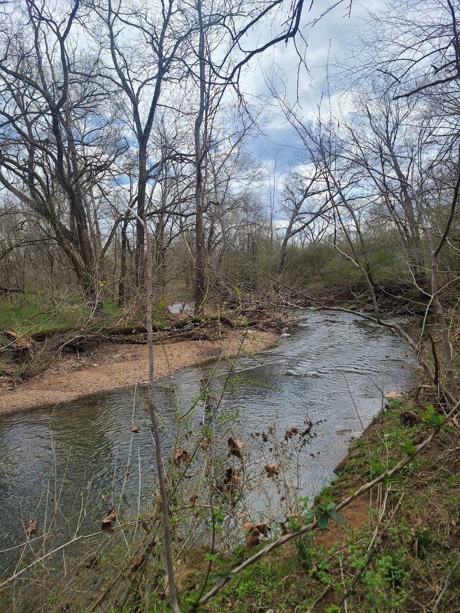 Creek Trail - Trailhead