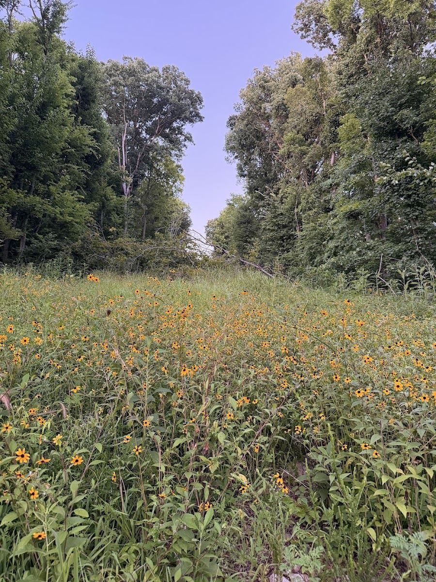 Storybook Trail on MCP Nature Trail