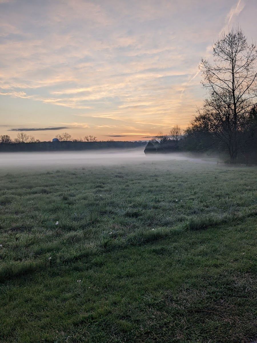 Kedron Walking Trail